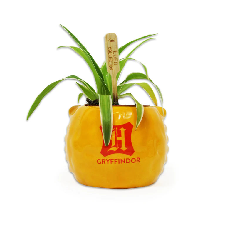 HARRY POTTER - Gryffondor - Pot Pour Plante 