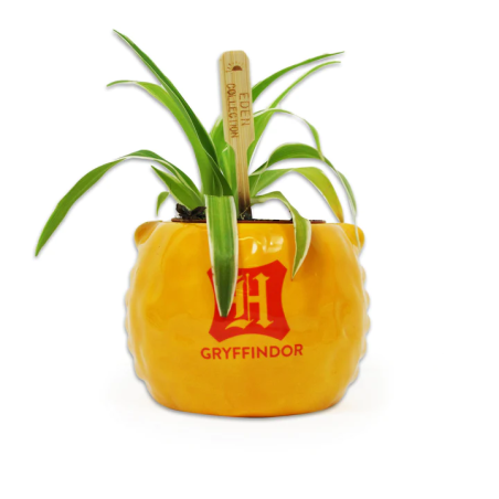 HARRY POTTER - Gryffondor - Pot Pour Plante 