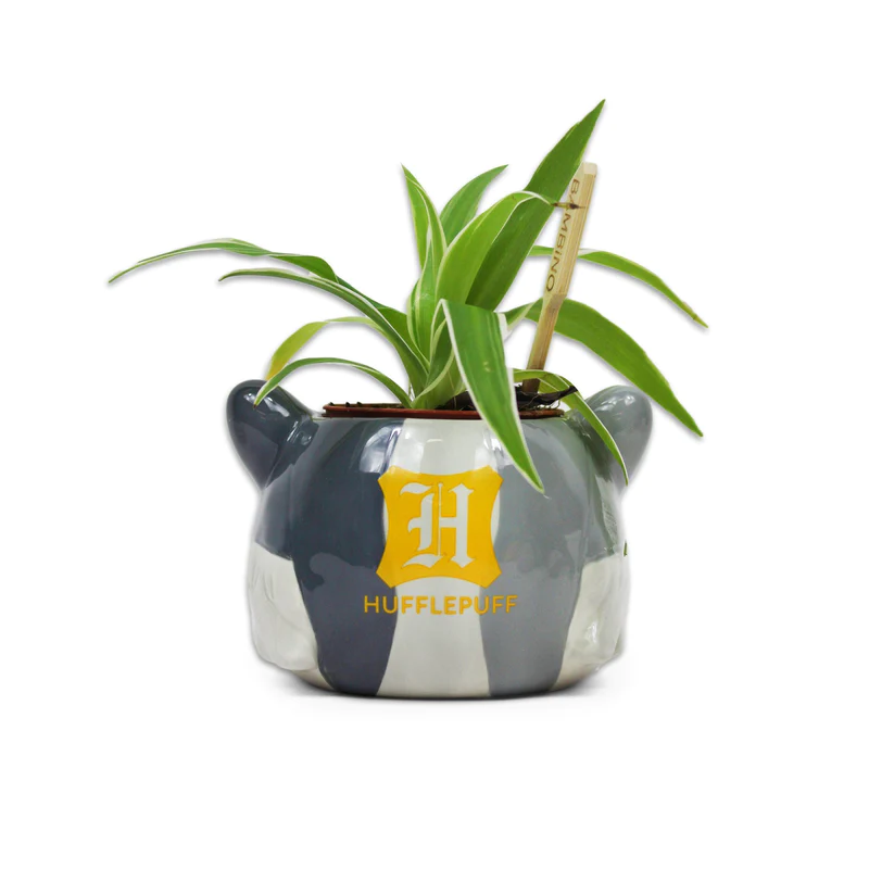 HARRY POTTER - Poufsouffle - Pot Pour Plante 