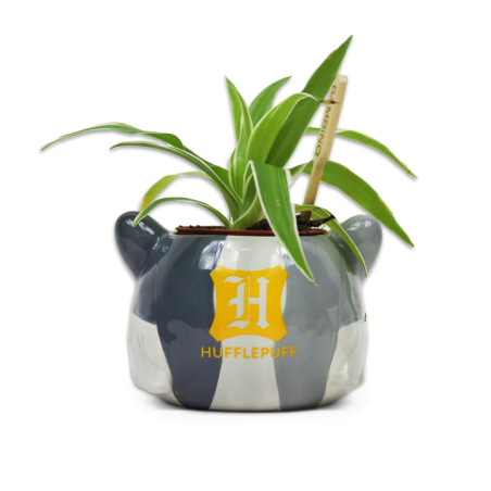 HARRY POTTER - Poufsouffle - Pot Pour Plante 