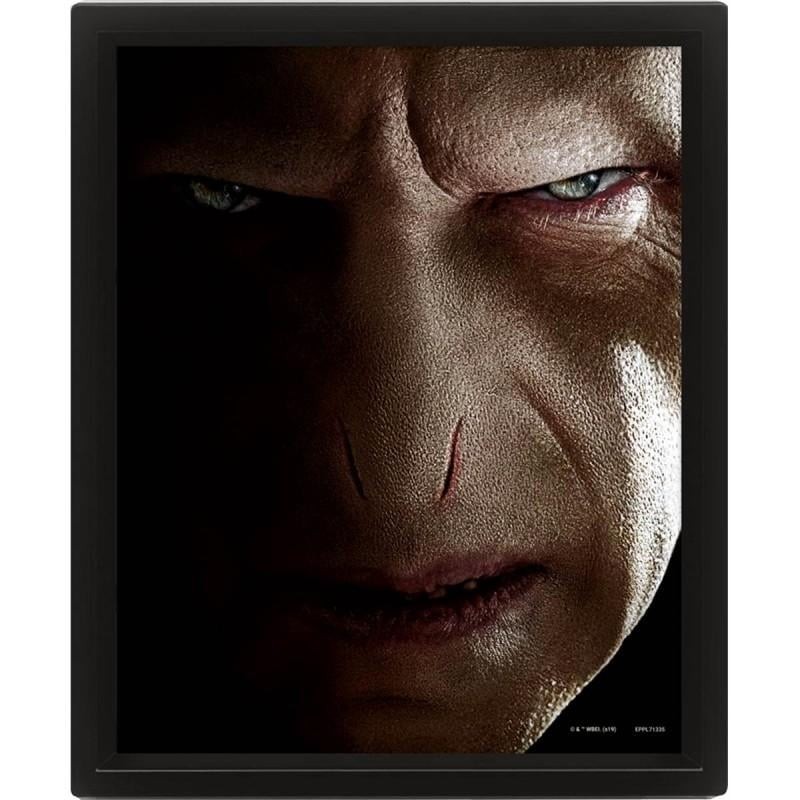 HARRY POTTER - Harry vs Voldemort - Poster lenticulaire 3D 26x20cm 