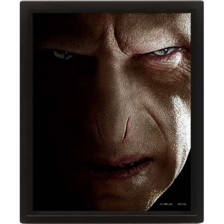 HARRY POTTER - Harry vs Voldemort - Poster lenticulaire 3D 26x20cm 