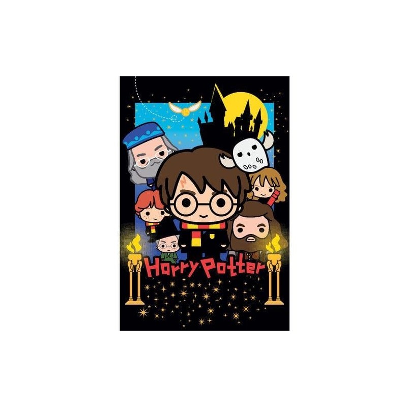 HARRY POTTER - Puzzle lenticulaire 3D 300P '31x23cm' & peluche Harry 