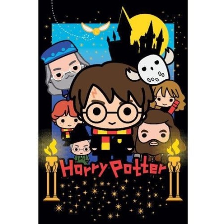 HARRY POTTER - Puzzle lenticulaire 3D 300P '31x23cm' & peluche Harry 