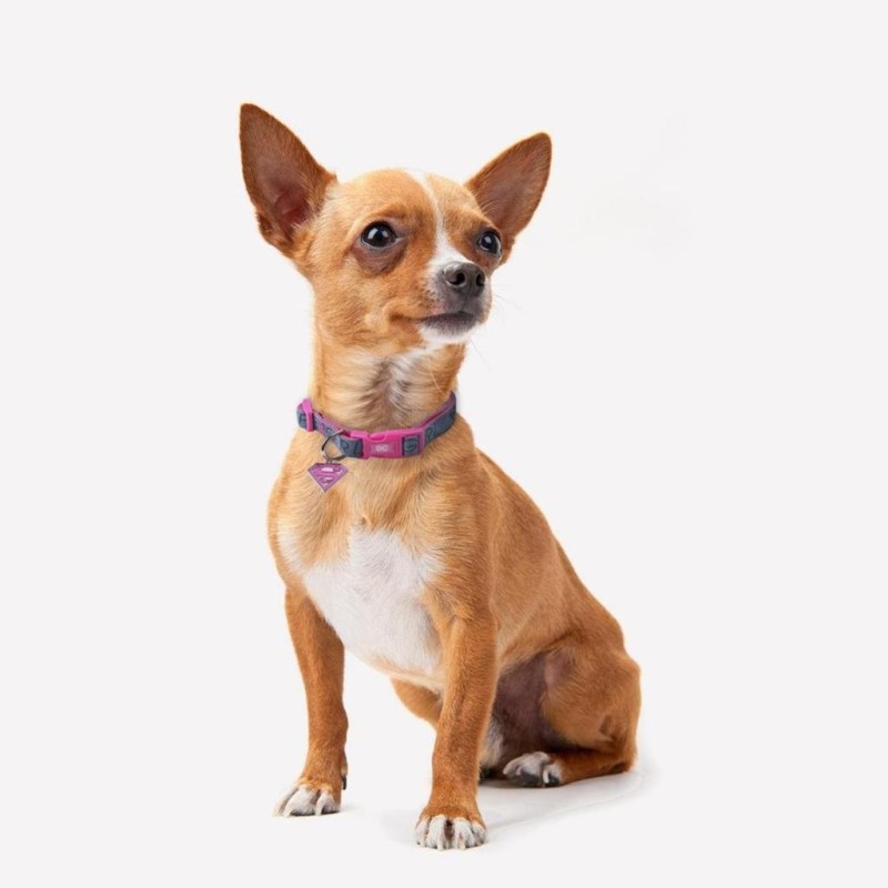SUPERGIRL - Collier pour Chien - XS 