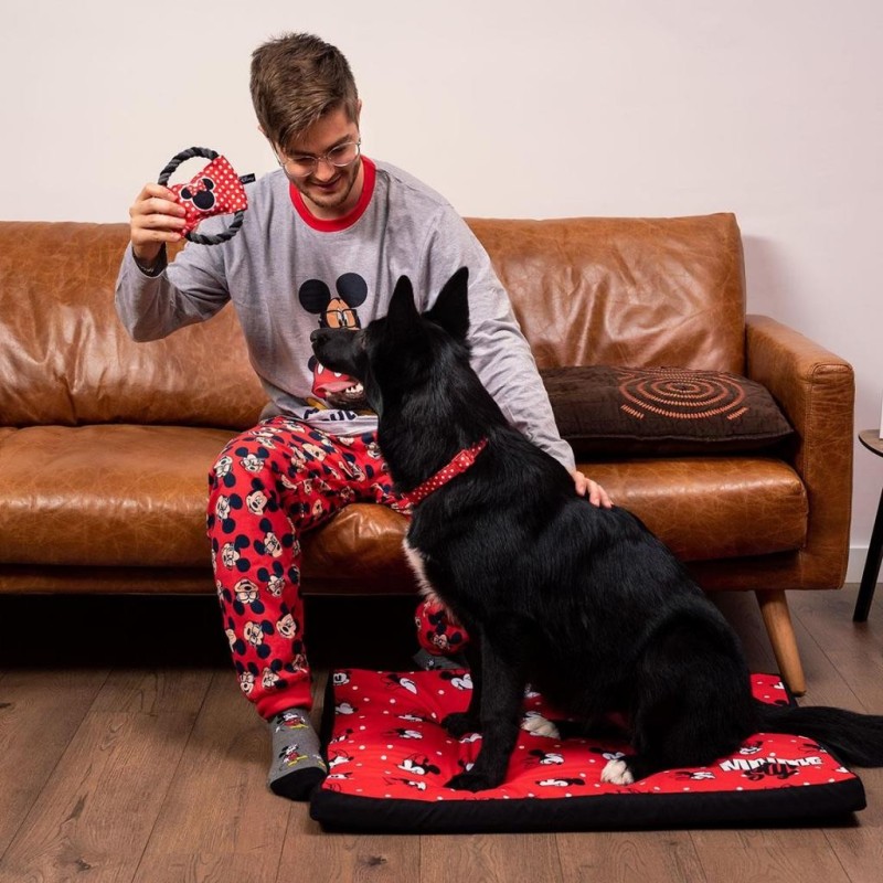 MINNIE - Collier pour Chien - M 
