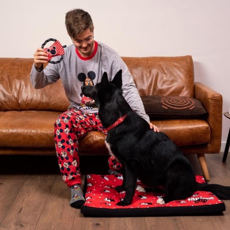 MINNIE - Collier pour Chien - XS 