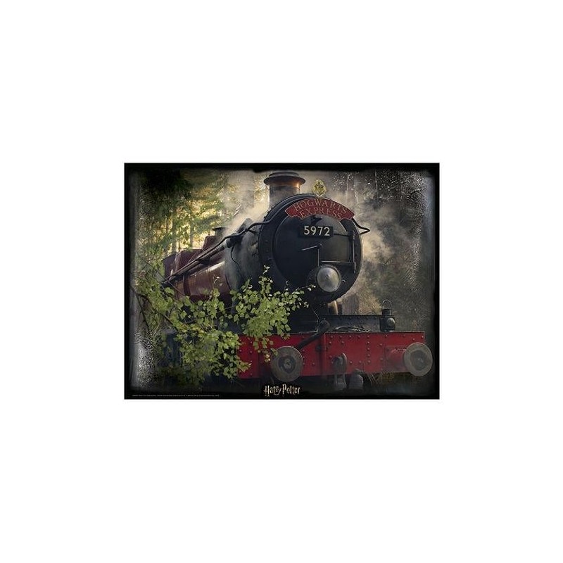 HARRY POTTER - Hogwarts Exp. - Puzzle lenticulaire 3D 500P '61x46cm' 
