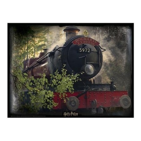 HARRY POTTER - Hogwarts Exp. - Puzzle lenticulaire 3D 500P '61x46cm' 