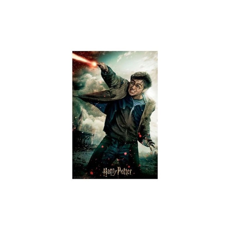 HARRY POTTER - Harry - Puzzle lenticulaire 3D 300P '46x31cm' 