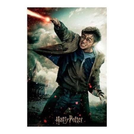 HARRY POTTER - Harry - Puzzle lenticulaire 3D 300P '46x31cm' 