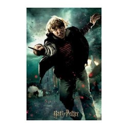HARRY POTTER - Ron - Puzzle lenticulaire 3D 300P '46x31cm'  2