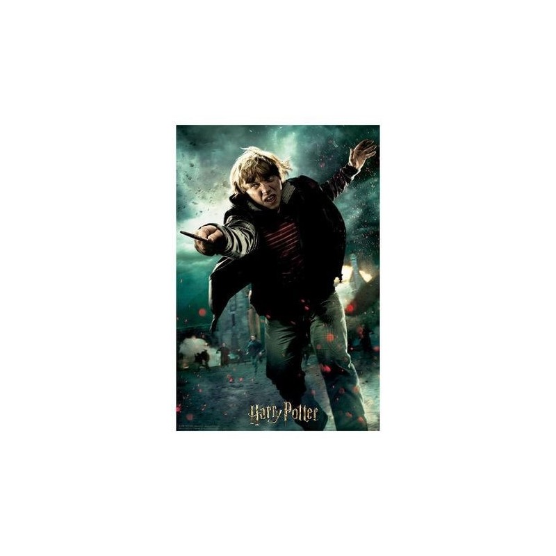 HARRY POTTER - Ron - Puzzle lenticulaire 3D 300P '46x31cm' 