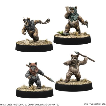 Ewok Warriors (FR)
