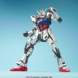GUNDAM - PG 1/60 Strike Gundam - Model Kit - 30cm REPROD 