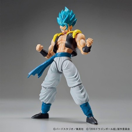 DRAGON BALL - Model Kit - Super Saiyan God Super Saiyan Gogeta 