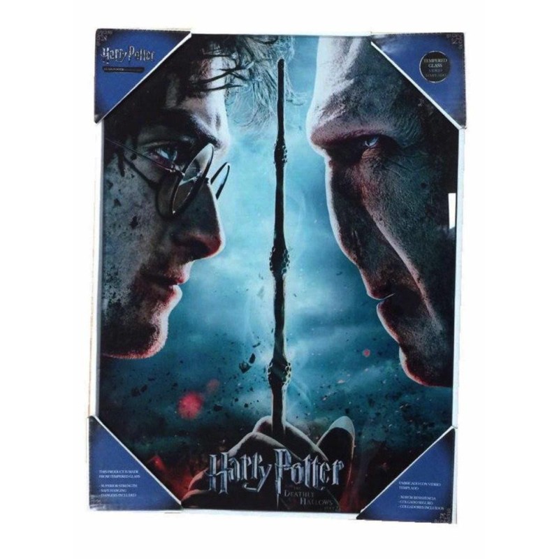 HARRY POTTER - Impression en Verre - Harry / Voldemort - 30X40 Cm 