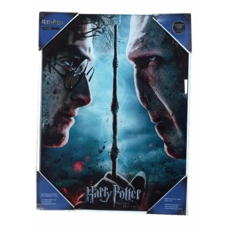 HARRY POTTER - Impression en Verre - Harry / Voldemort - 30X40 Cm 