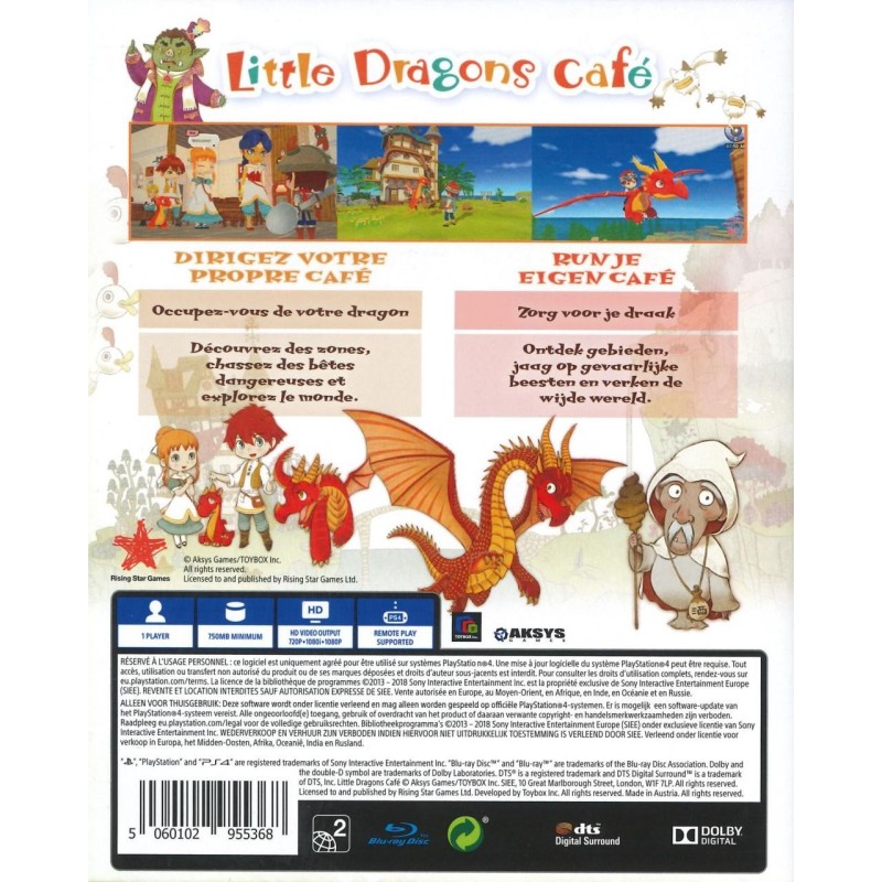 Little Dragons Café 