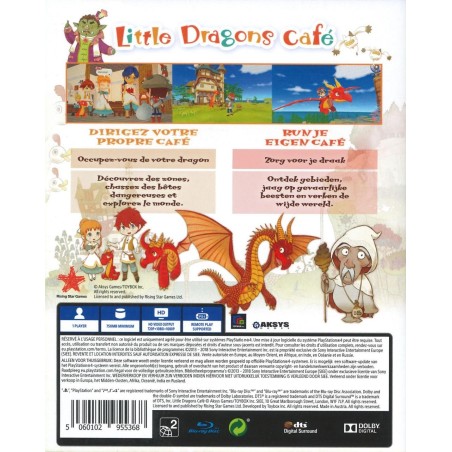 Little Dragons Café 