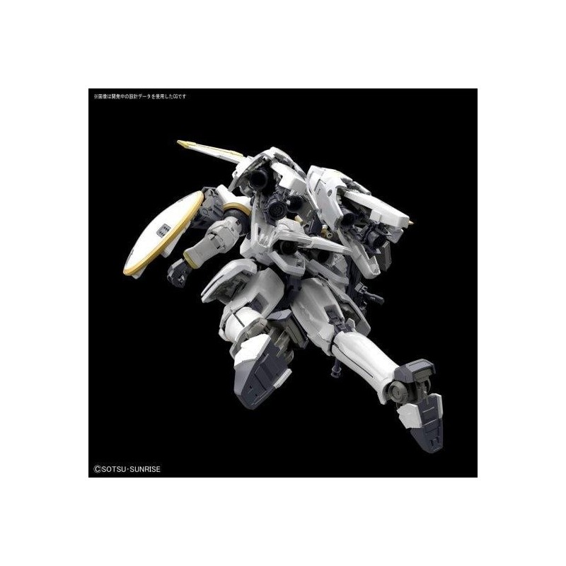 GUNDAM - Model Kit - RG 1/144 - Tallgeese EW 