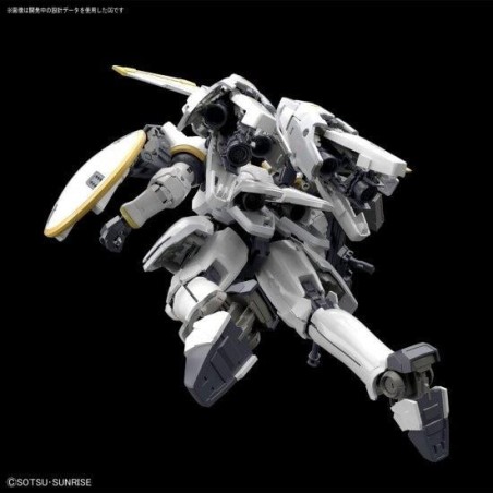 GUNDAM - Model Kit - RG 1/144 - Tallgeese EW 