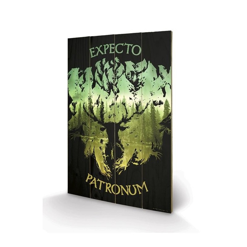 HARRY POTTER - Expecto Patronum - Impression sur bois 40x59cm 