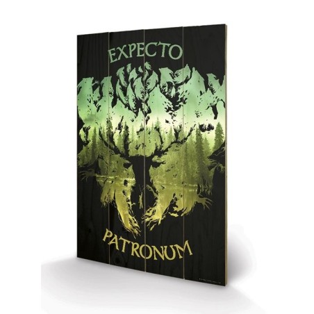 HARRY POTTER - Expecto Patronum - Impression sur bois 40x59cm 