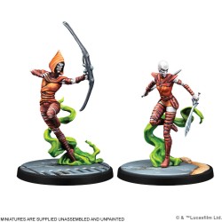 WITCHES OF DATHOMIR: MOTHER TALZIN SQUAD 2