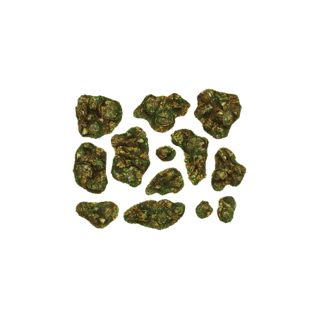 Forest Basing Kit (14)