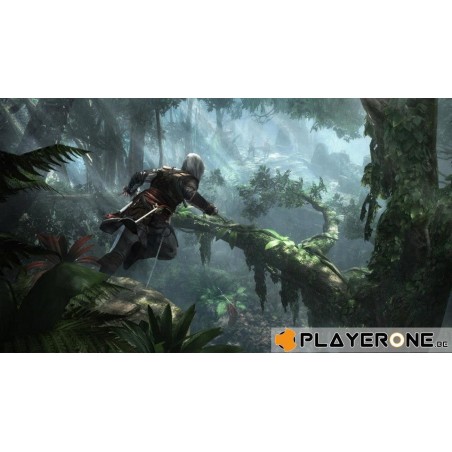 Assassin's Creed 4 Black Flag 