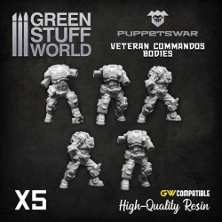 Corps Commando des vétérans