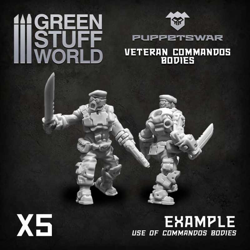 Corps Commando des vétérans