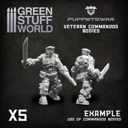 Corps Commando des vétérans