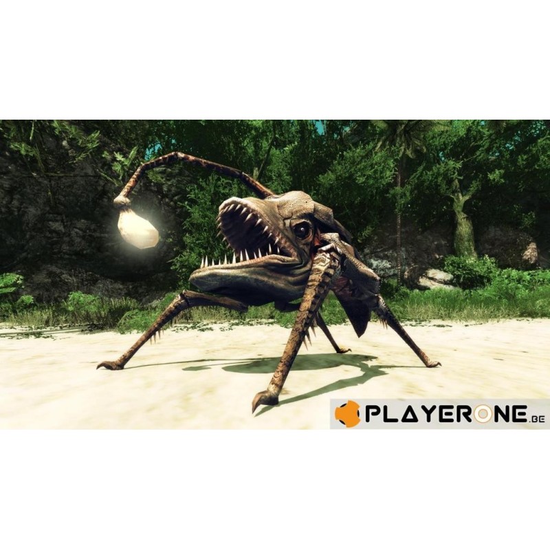 Risen 2 : Dark Waters 
