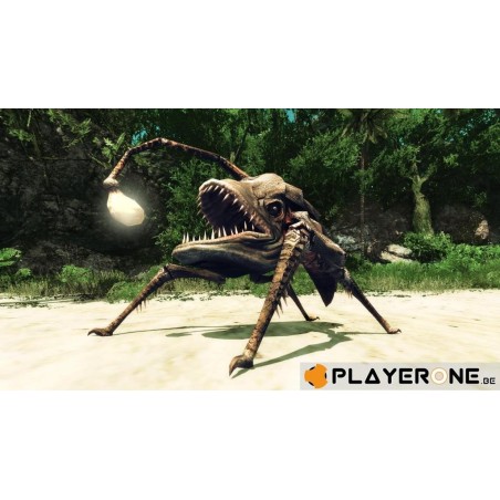 Risen 2 : Dark Waters 