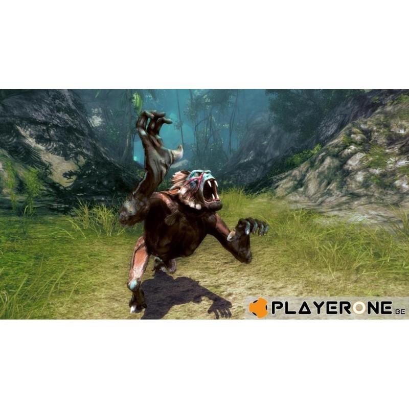 Risen 2 : Dark Waters 