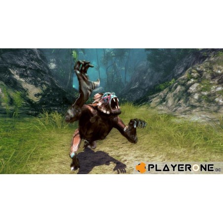 Risen 2 : Dark Waters 