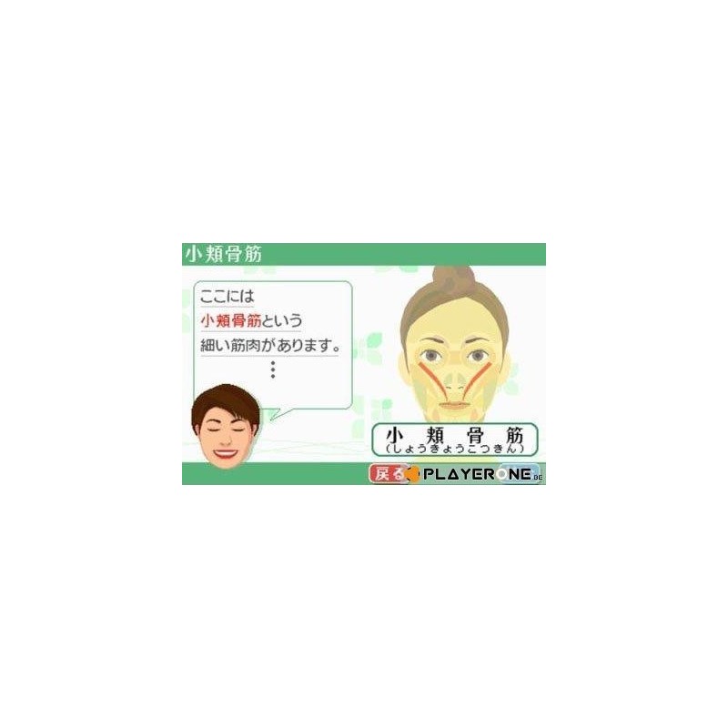 Face Training (DSi) 