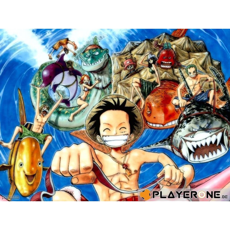 ONE PIECE - Vol 11 - (3DVD) 