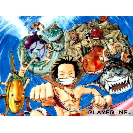 ONE PIECE - Vol 11 - (3DVD) 