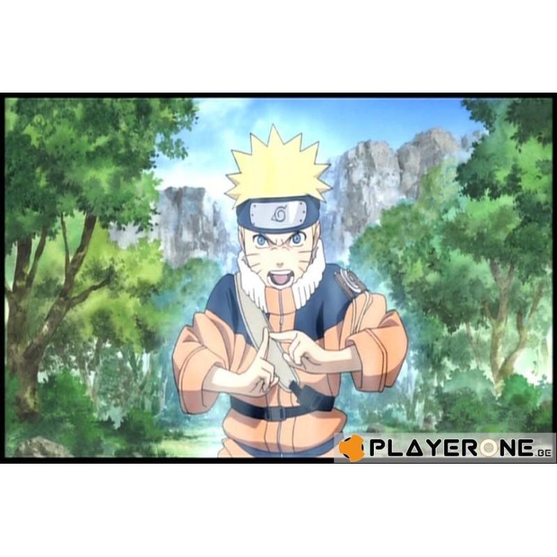 NARUTO - Film 2 : La légende de la pierre de Guelel (Blu Ray) 
