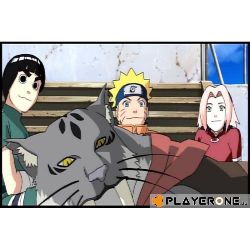 NARUTO - Film 1 : Naruto et la princesse des Neiges (Blu Ray) 
