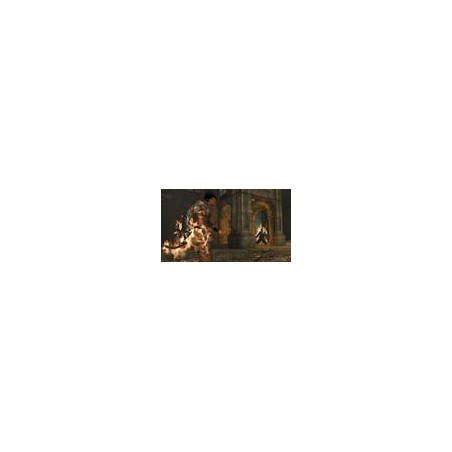 Dark Sector 