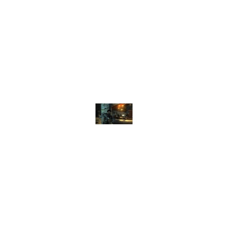 Dark Sector 