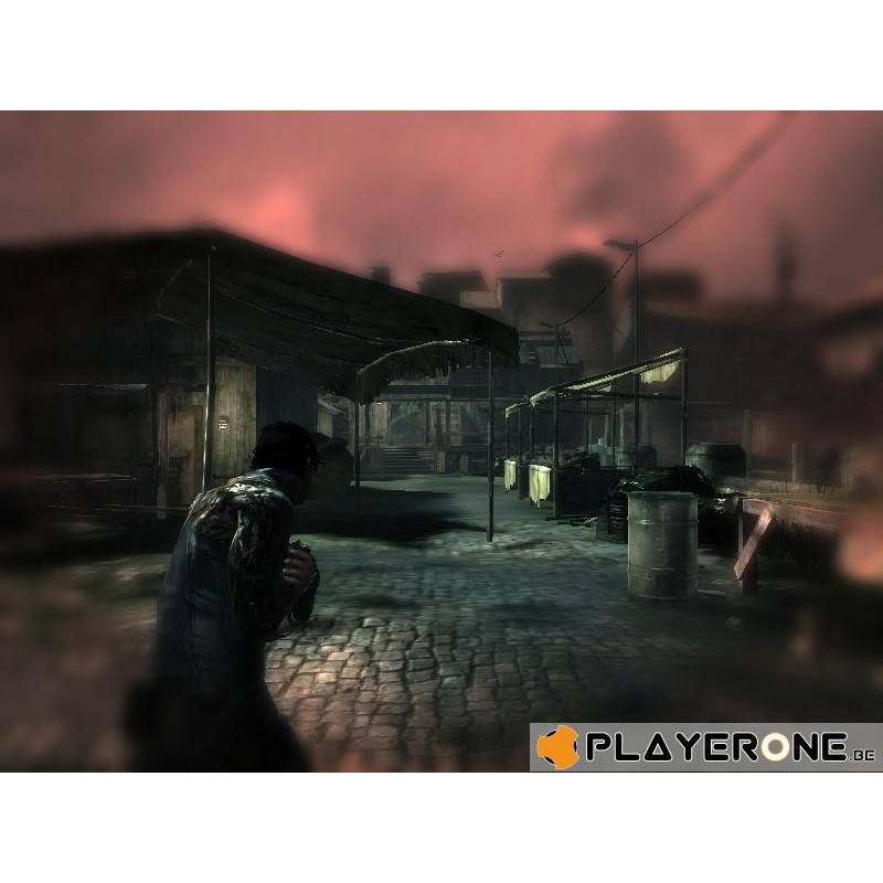 Dark Sector 