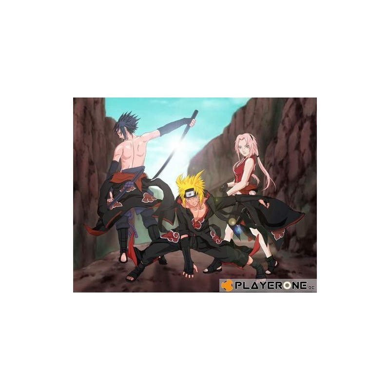 NARUTO SHIPPUDEN - Vol 02 - (3DVD) 