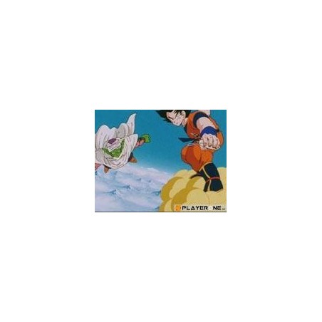 DRAGON BALL Z - Coffret 05/15 ( Episodes 98 a 121 ) - 4 DVD 