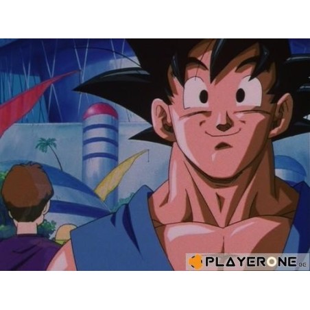 DRAGON BALL GT - Coffret 1 - Vol 1 à 4 ( Ep. 1 a 16 ) - 4 DVD 
