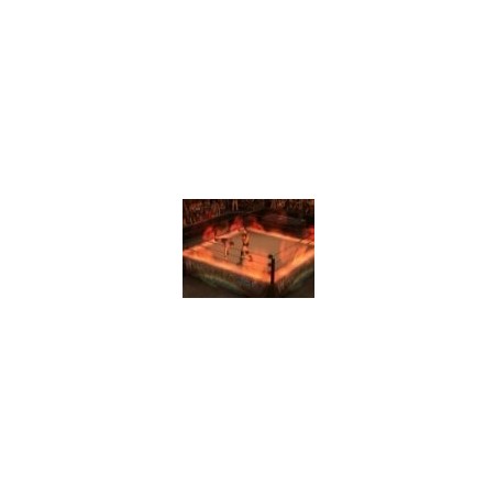 WWE SmackDown Vs Raw 2009 